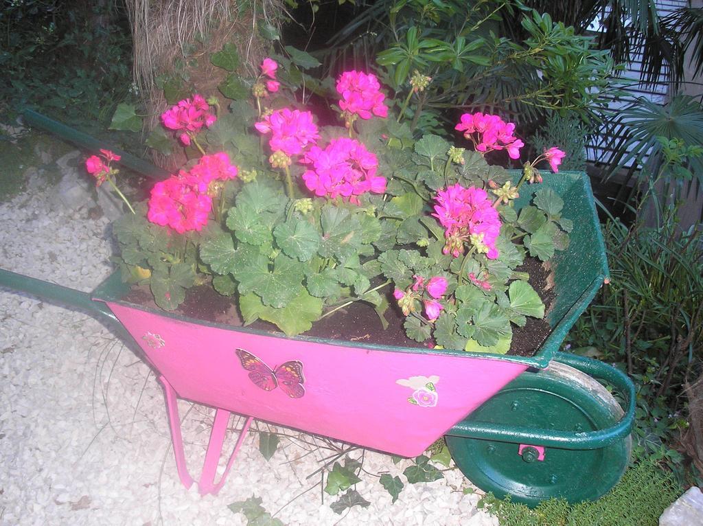 Apartment Nena With Private Free Parking Opatija Extérieur photo